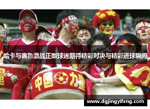 哈卡与奥鲁激战正酣球迷期待精彩对决与精彩进球瞬间