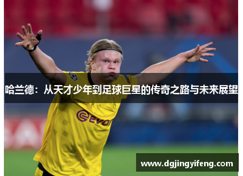 哈兰德：从天才少年到足球巨星的传奇之路与未来展望